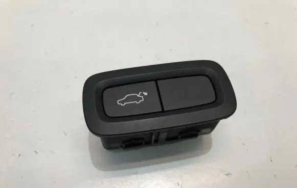 Tailgate opening switch