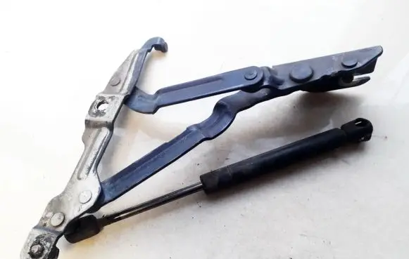 Tailgate/trunk/boot hinge
