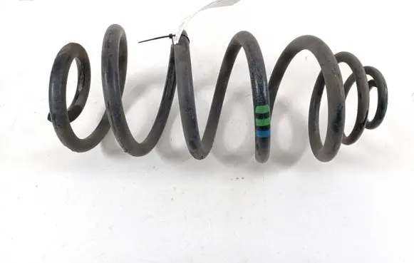 Opel Vivaro Rear coil spring 9824932580