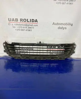 Citroen C4 II Front bumper lower grill 9670503480