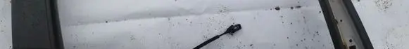 Ford C-MAX II Front door glass trim molding 