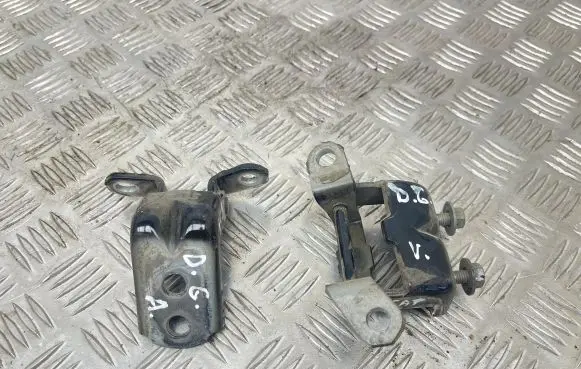 Nissan Leaf I (ZE0) Rear door hinge set 