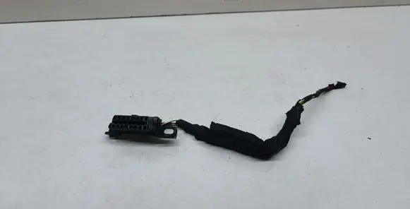 BMW X1 E84 Other wiring loom 6954580