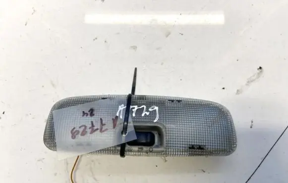 Ford Focus Front seat light