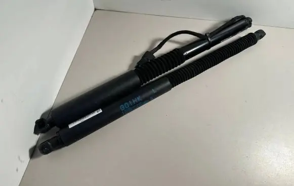 Tailgate strut
