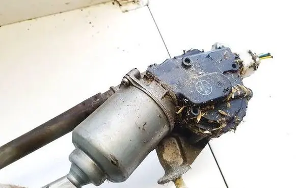 Wiper motor