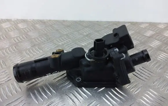 Thermostat/thermostat housing