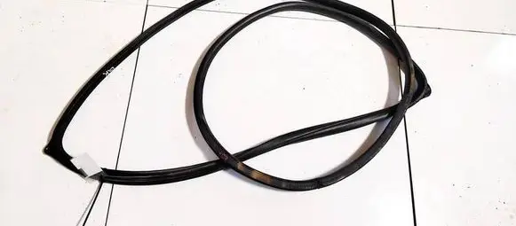 Nissan Tiida C11 Rubber seal rear door 