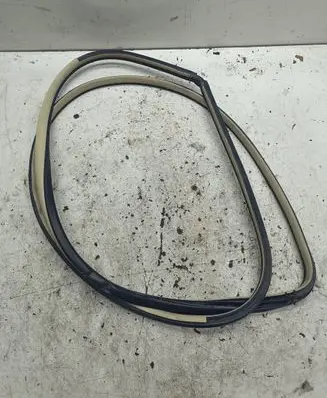 Infiniti EX Front door rubber seal 