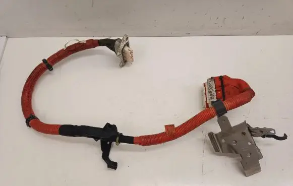 Lexus NX Other wiring loom G114848070B