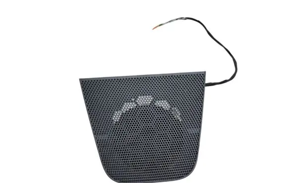 Panel speaker