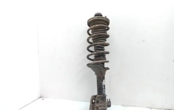 Land Rover Freelander Front shock absorber with coil spring 