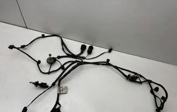 Volkswagen PASSAT B6 Parking sensor (PDC) wiring loom 3C0971095AL