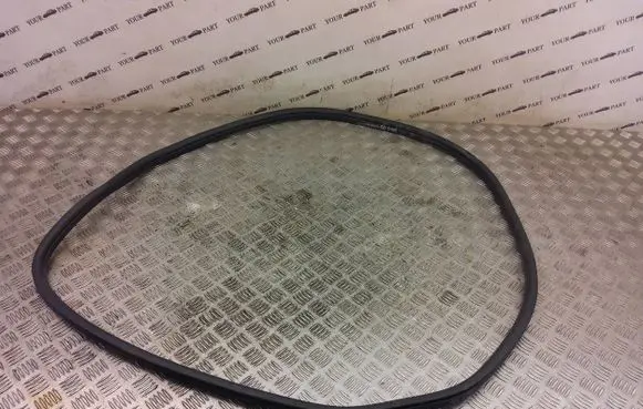BMW X2 F39 Rear door rubber seal (on body) 7420803
