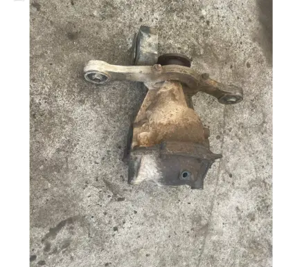 Mitsubishi Pajero Rear differential