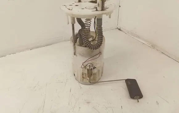 Dacia Dokker In-tank fuel pump 172027123RA