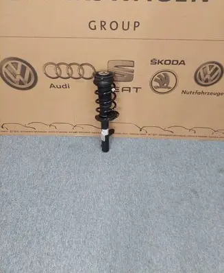 Front shock absorber with coil spring