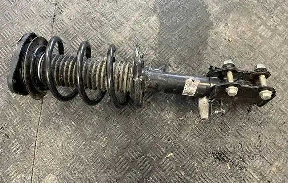 Ford Kuga III Front shock absorber/damper LX6118K001SBE