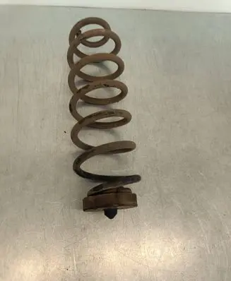 Audi Q5 SQ5 8R Rear coil spring