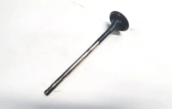 Renault Vel Satis Valve 