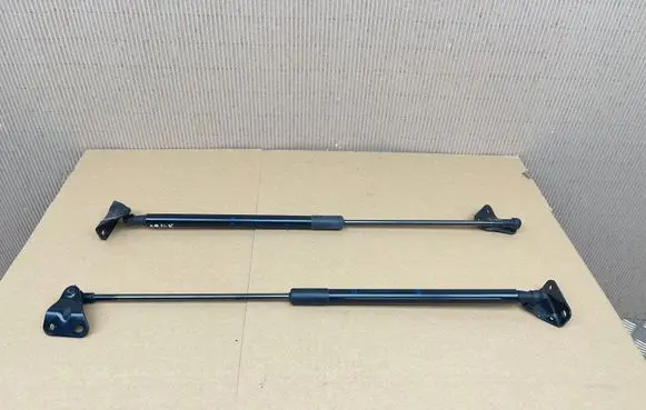 Toyota C-HR I Tailgate/trunk strut/damper 68950F4050