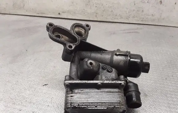 Renault Koleos I Oil filter mounting bracket 