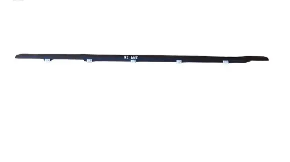Hyundai Ioniq Rear door trim (molding) 