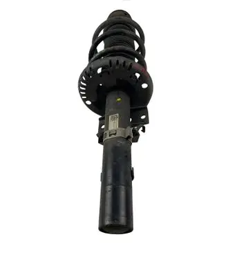 Skoda Fabia Mk2 (5J) Front shock absorber/damper 6R0413031AG