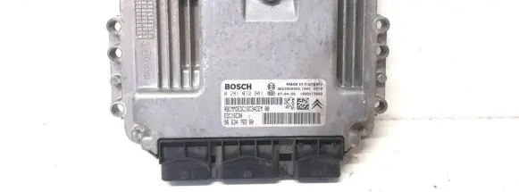 Citroen C4 I Picasso Other control units/modules BOSCH0281012981