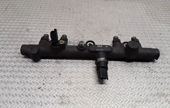 Peugeot 406 Fuel main line pipe 0445214010