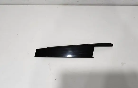 Mini Clubman F54 Front door trim (molding) 7344192