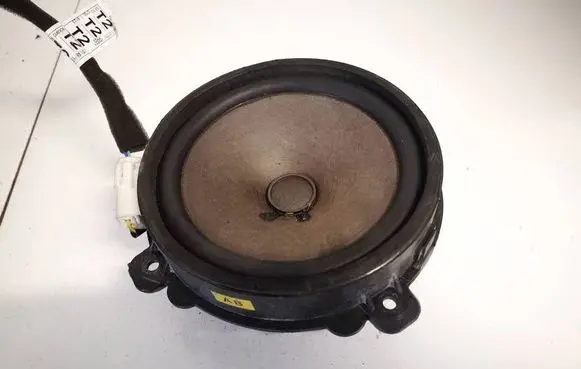Front door speaker