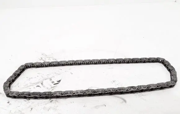 Ford Focus Timing chain (engine) 