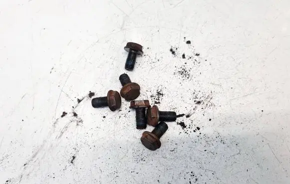 Nuts/bolts