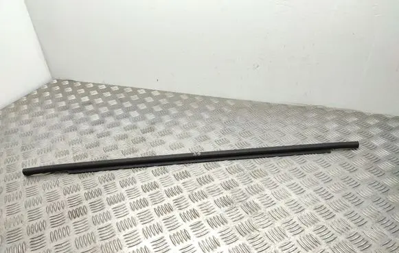 Rear door glass trim molding
