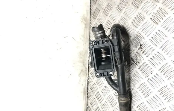 Thermostat/thermostat housing