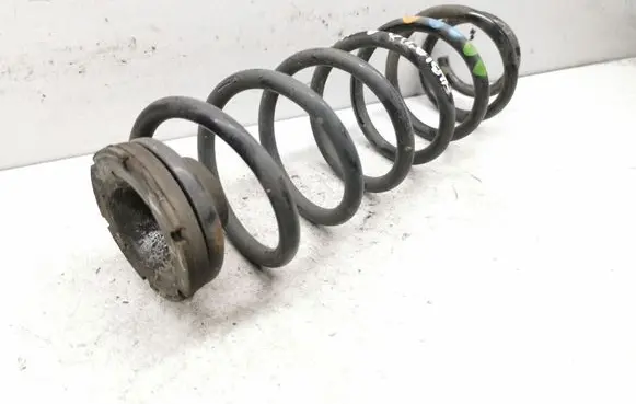 Rear coil spring
