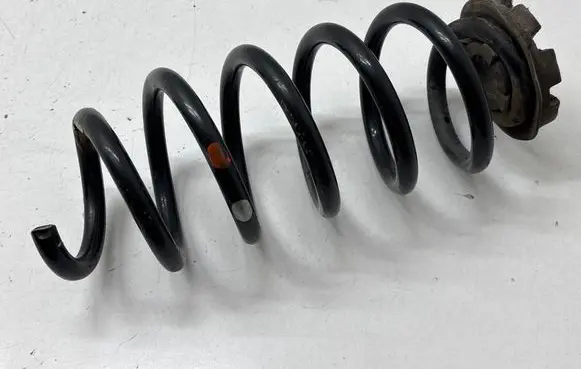 Renault Captur Rear coil spring 