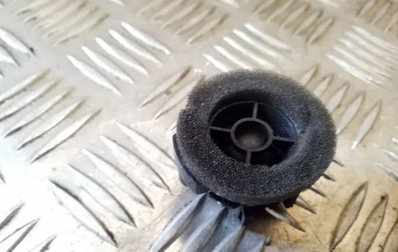 Front door high frequency speaker