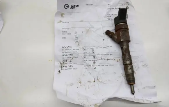 Renault Megane II Fuel injector 0445110110