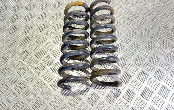 Rear coil spring