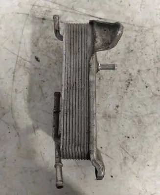 Oil filter mounting bracket