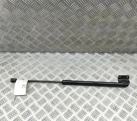 Hyundai Kona I Tailgate/trunk strut/damper 81840HF010