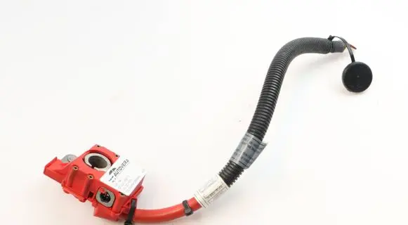 BMW X5M E70 Positive wiring loom 9217004