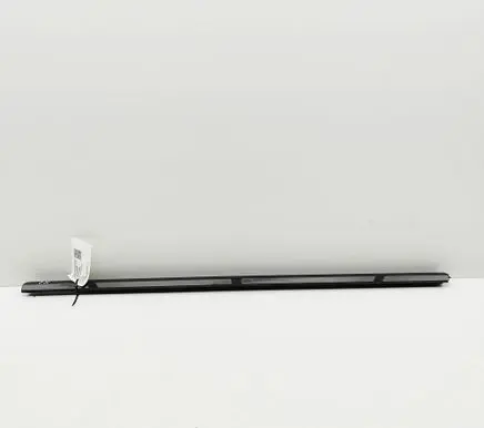 BMW iX Front door glass trim molding 8491343