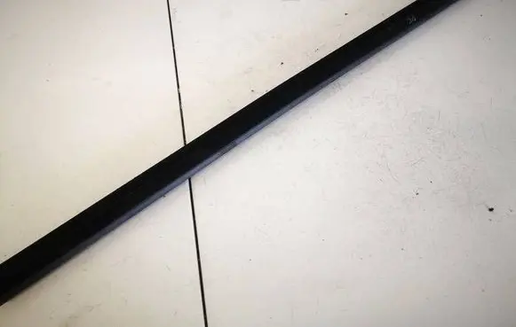 Ford Focus Front door glass trim molding