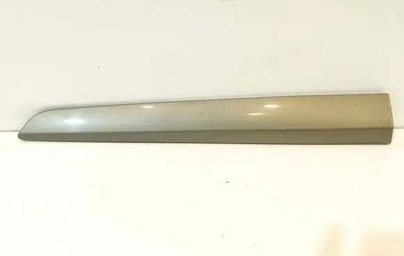 Renault Kangoo II Sliding door trim (molding) 808211538R