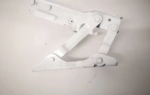 Tesla Model S Engine bonnet/hood hinges 102928400D