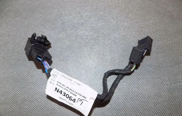 Audi A8 S8 D5 Other wiring loom 4N0971142C