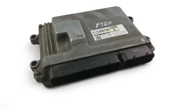 Engine control unit/module ECU